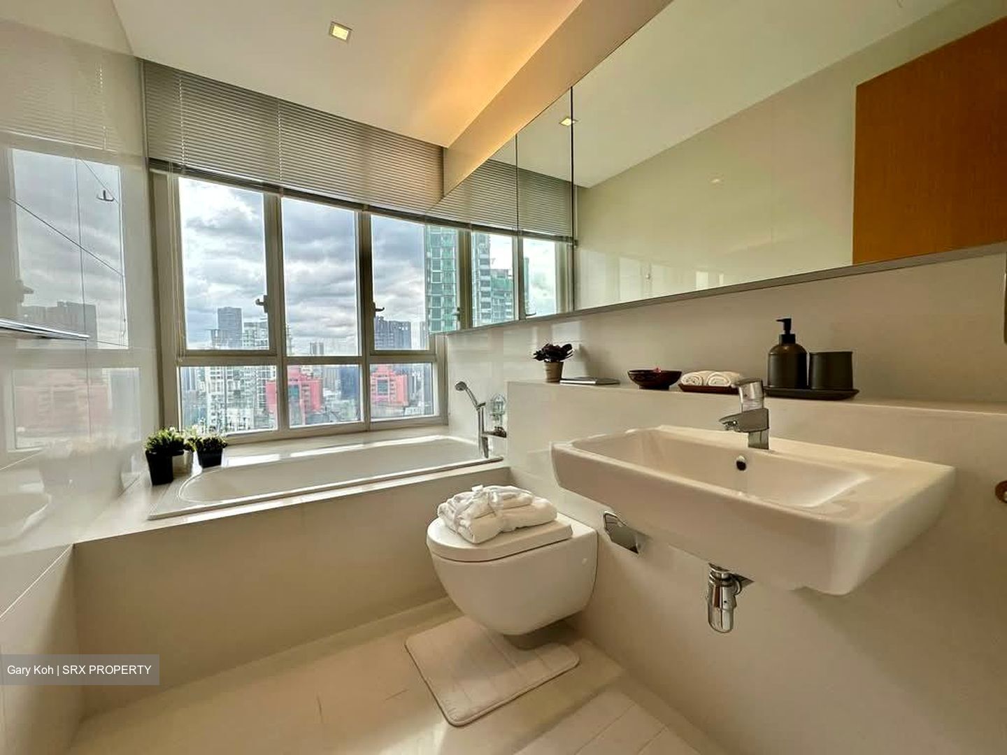 The Cosmopolitan (D9), Condominium #566867071